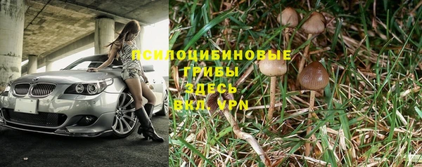 шишки Белоозёрский