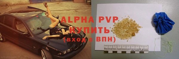шишки Белоозёрский