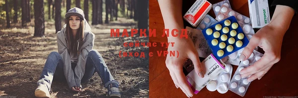 трава Саяногорск